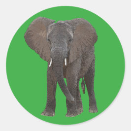 African Elephant Sticker Runt Klistermärke