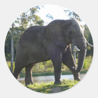 African Elephant Sticker Runt Klistermärke
