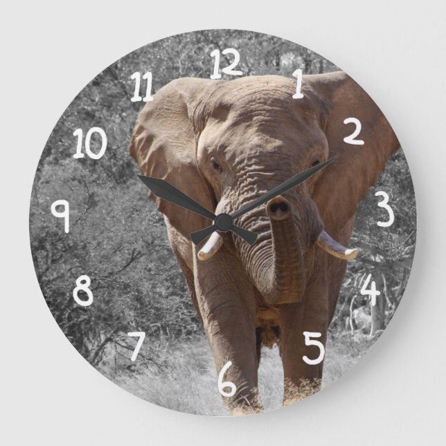 African Elephant Stor Klocka (Framsida)