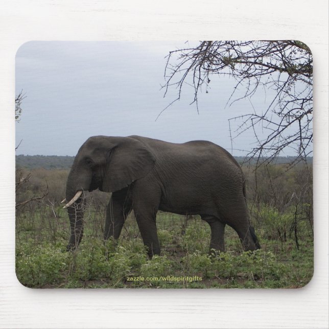African Elephant Wildlife Supporter Mousepad Musmatta (Framsidan)