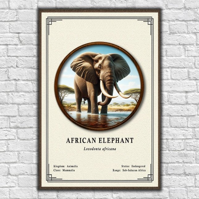 African Elephant Zoology Series Poster (Skapare uppladdad)