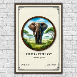African Elephant Zoology Series Poster