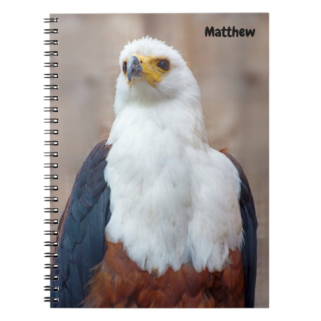 African Fish Eagle Spiral anteckningsbok (Framsidan)