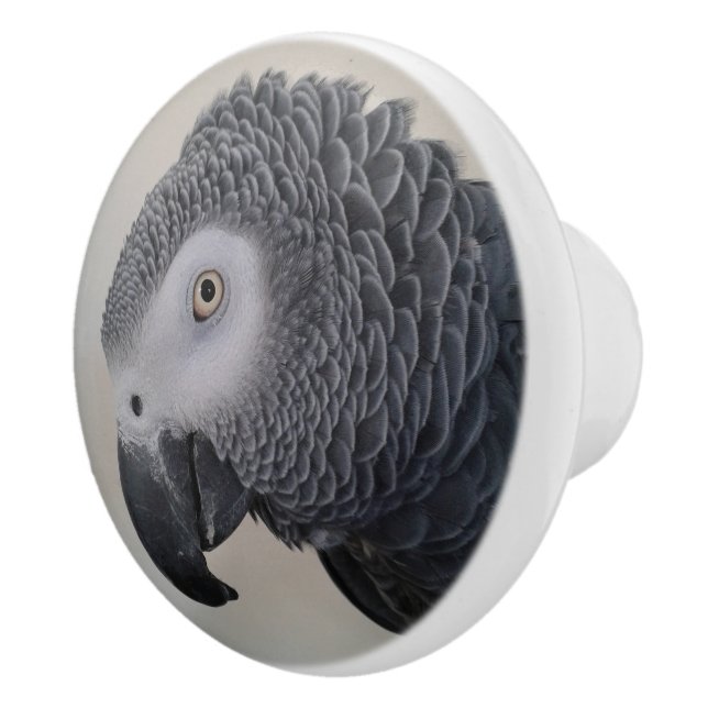African Grått Parrot Dresser Knobs Knopp (Höger)