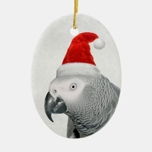 African Grått Parrot i Santa Hat Ornament (Framsidan)