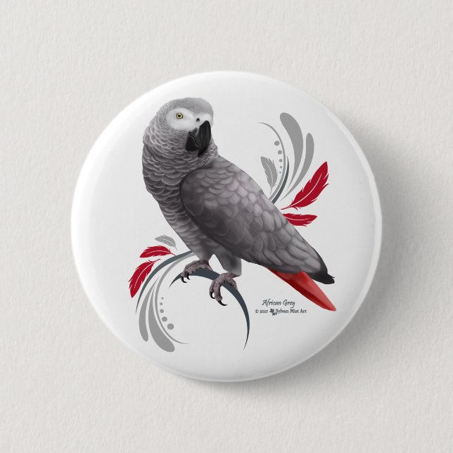 African Grått Parrot Knapp (Framsida)