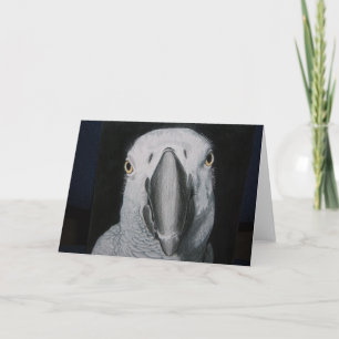 African Grått Parrot Kort