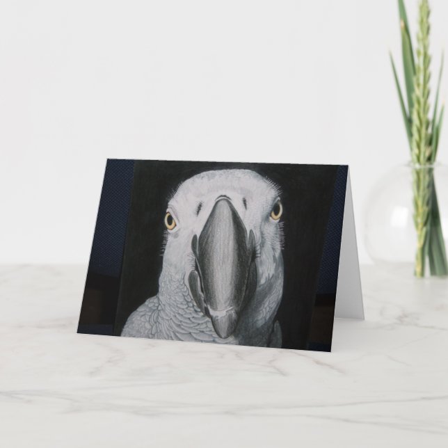 African Grått Parrot Kort (Framsida)