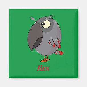 African Grått Parrot Magnet