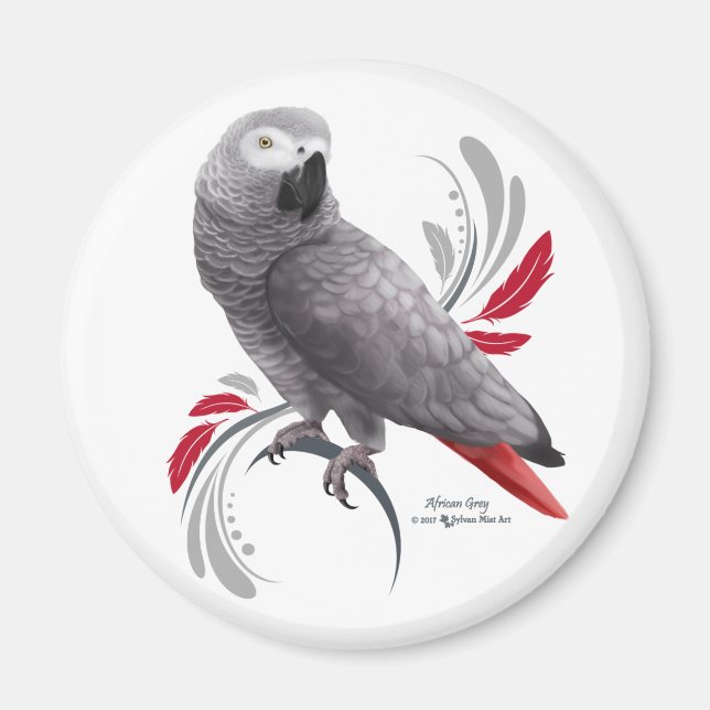 African Grått Parrot Magnet (Framsidan)