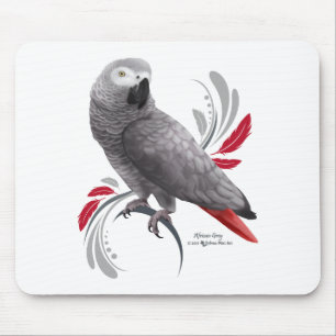 African Grått Parrot Musmatta