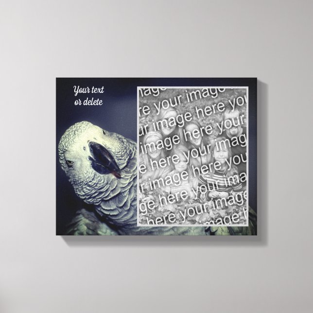 African Grått Parrot Skapar ditt eget foto Canvastryck (Framsida)