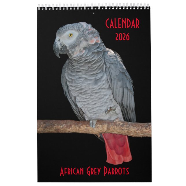 African Grått Parrots Calendar Kalender (Omslag)