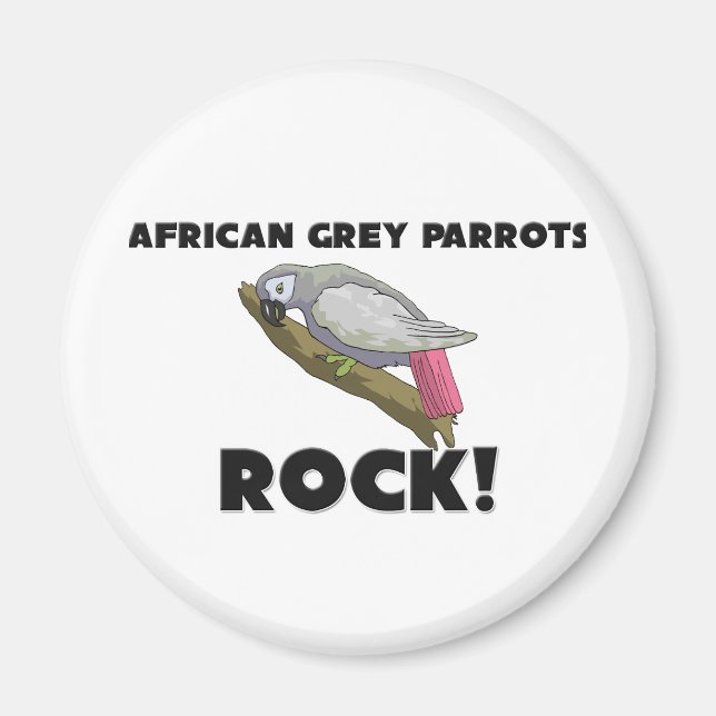 African Grått Parrots Sten Magnet (Framsidan)