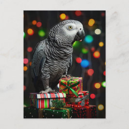 African Grey on Gifts — Festive Greeting Card Vykort