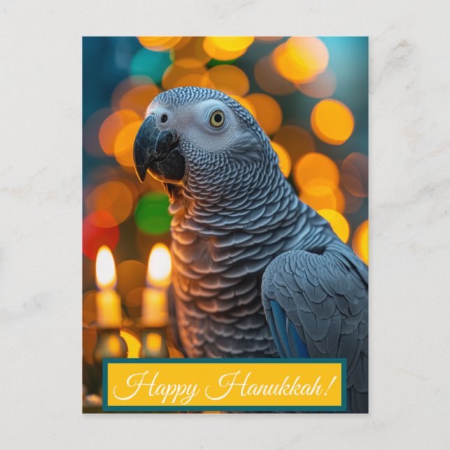 African Grey Parrot Hanukkah Card  Vykort (Framsida)