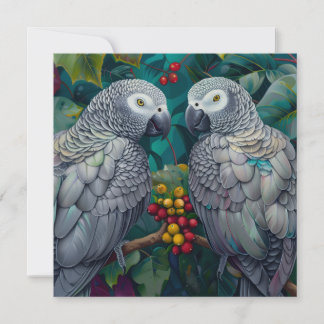 African Grey Persimmon-Berry Duet
