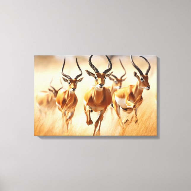 African Impala Canvas Art (Framsida)