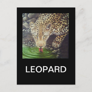 African Leopard Vykort