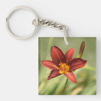 African Lily Badge