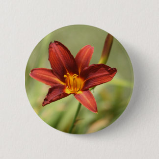 African Lily Badge Knapp