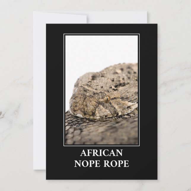 African Nope Rope - Puff adder Snake Danger Inbjudningar (Framsida)