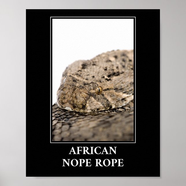 African Nope Rope - Puff adder Snake Danger Poster (Framsidan)