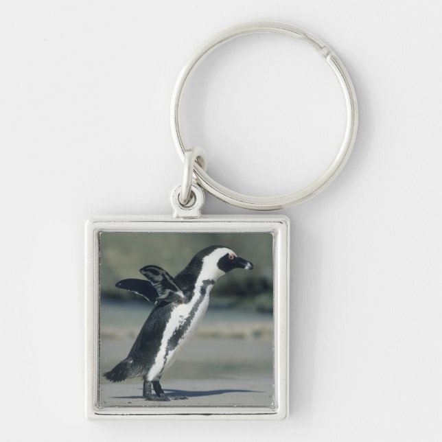African Penguin Fyrkantig Silverfärgad Nyckelring (Framsidan)