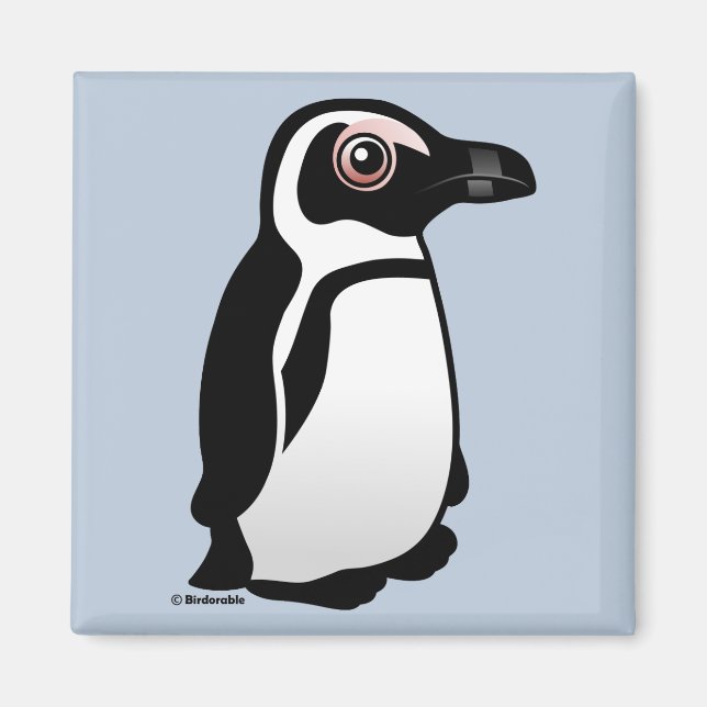 African Penguin Magnet (Framsidan)