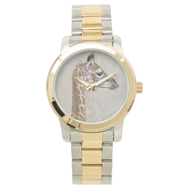 African Prince Watch Armbandsur (Framsida)