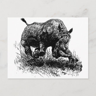 African Rhino Vykort