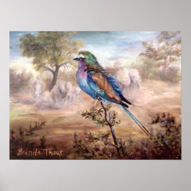 African Roller Poster (Framsidan)