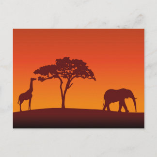 African Safari Silhouette - vykort