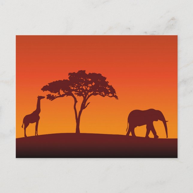African Safari Silhouette - vykort (Framsida)