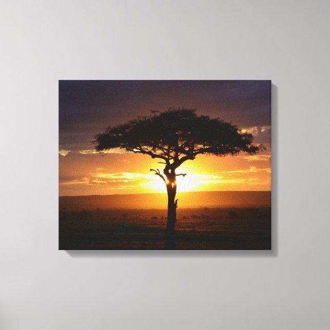 African Safari Sunset Stretched Kanvastryck (Framsida)