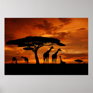 African Safari vid Sunset Poster