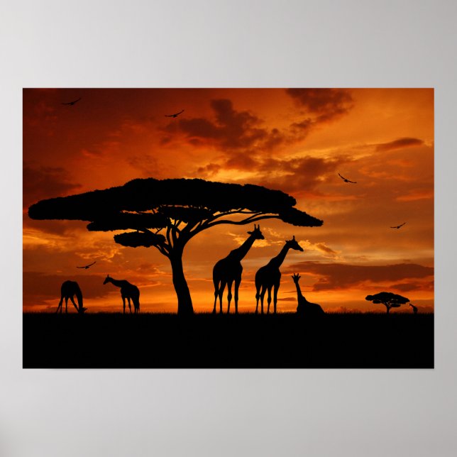 African Safari vid Sunset Poster (Framsidan)