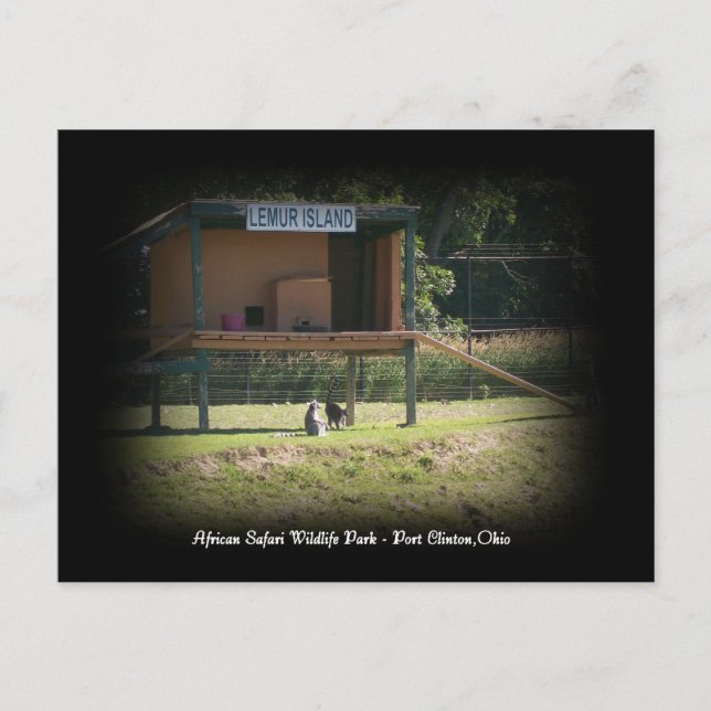 African Safari Wildlife Park Lemur Postkort Vykort (Framsida)
