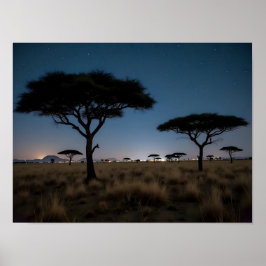 African Savanna Acacia Trees Stars Night Landscape Poster