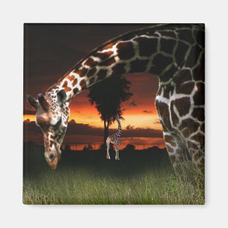 African School Fält Magnet