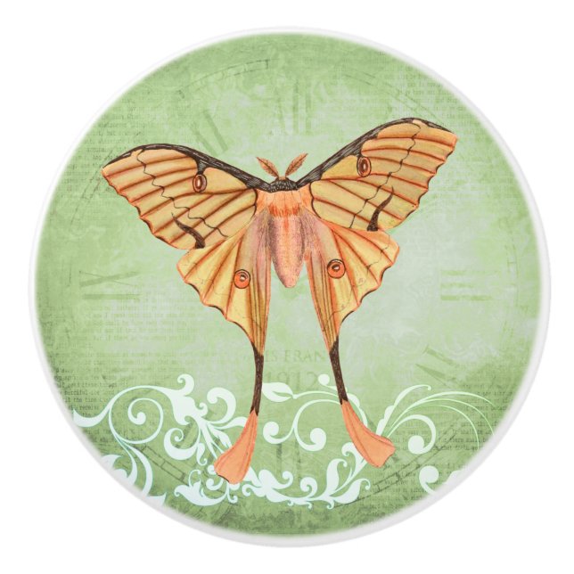 African Silke Moth Knopp (Framsidan)