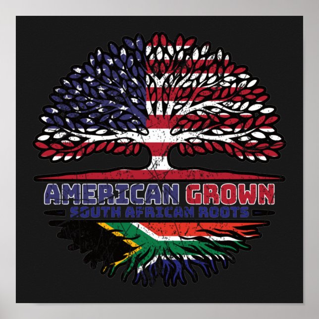 African South Afrika US Amerika United Stater Poster (Framsidan)