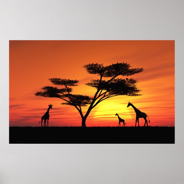 African Sunset Poster (Framsidan)