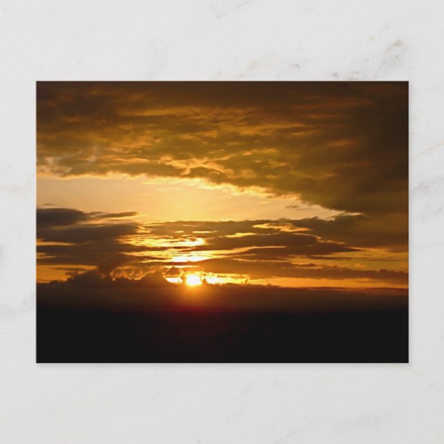 African Sunset Vykort (Framsida)