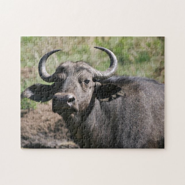 African Vatten Buffalo Pussel (Horisontell)