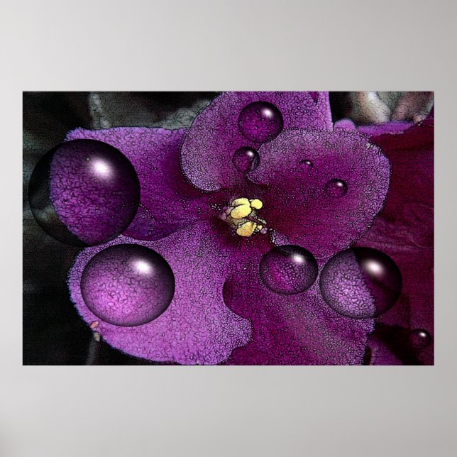 African Violet Fantasy Poster (Framsidan)