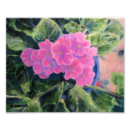 African Violet Fototryck
