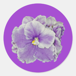 African Violet Lila Runt Klistermärke