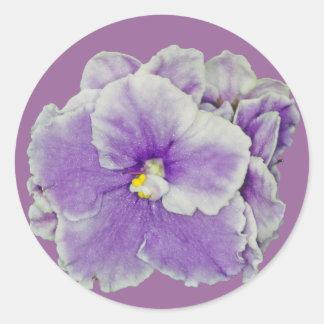 African Violet Lila Runt Klistermärke
