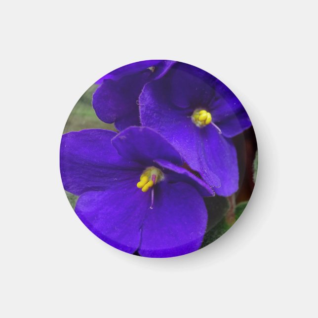 African Violet Magnet (Framsidan)